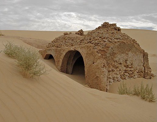 Arabbeau's tweet image. A mosque appeared in the desert after a sandstorm - Algeria