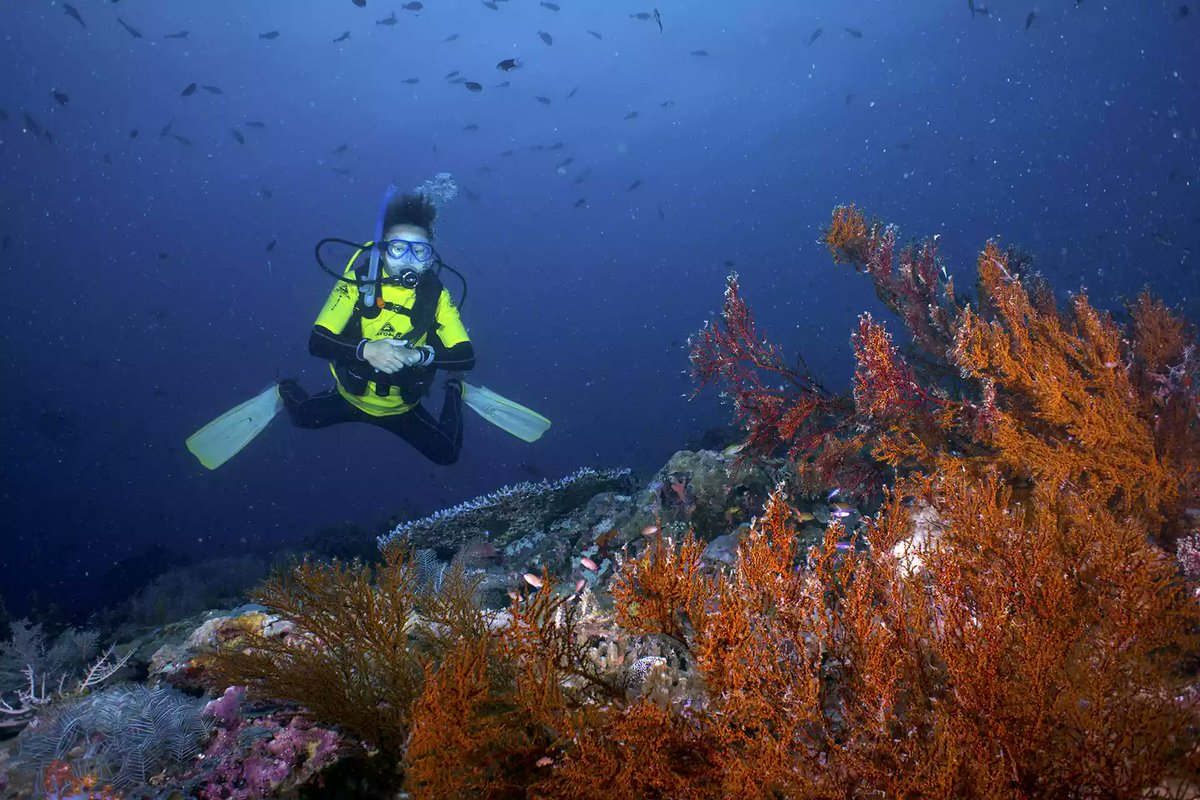 Michael Jones tweet media