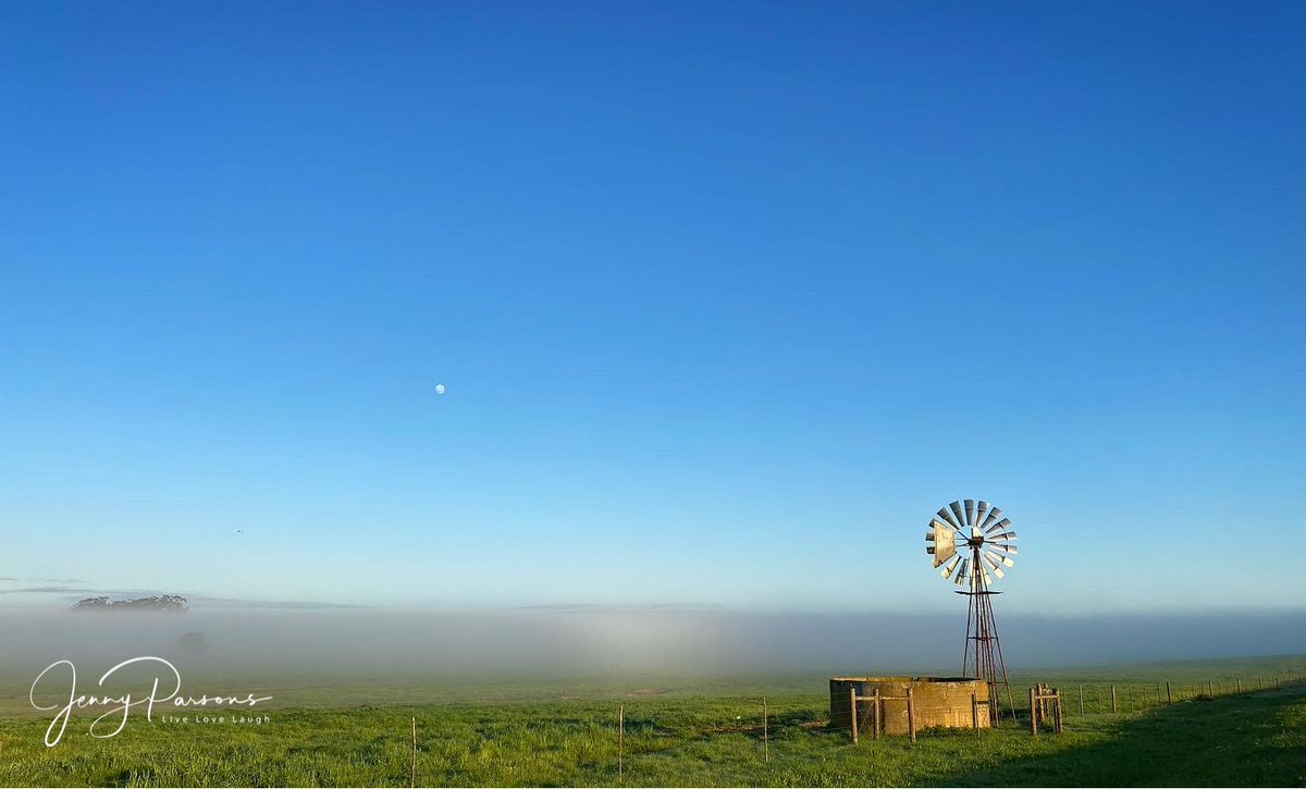 JennyPaPB's tweet image. Kalagadi adventure #1 started from Pringle Bay via the back roads to Malmesbury on a typical foggy west coast morning. The day was young &amp;amp; we had a way to go…

#fog #wheatfields #windpump #landscapes #discoversouthafrica #adventuretime #timeout #backtonature