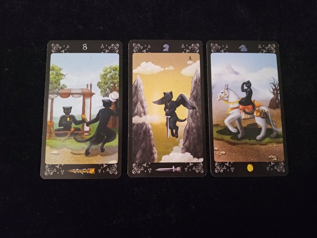 tigerlex333's tweet photo. Follow the black cat.
What is the focus for today.
You need to tuck away safely. Be on your guard. Look put over everything.
#onyourguard #lookout https://t.co/BKyVEWjRK1