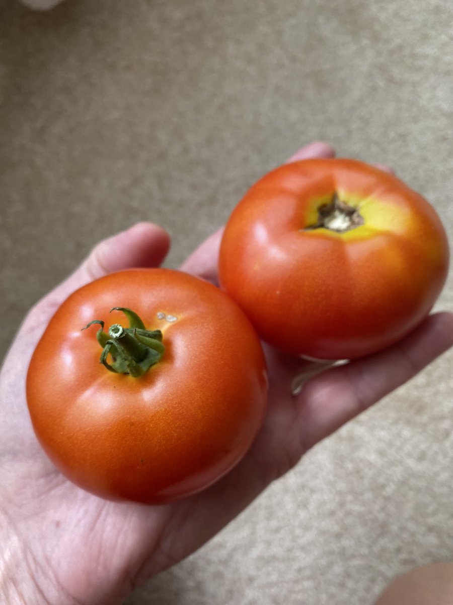 Cathy Weseluck tweet media