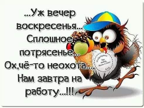 kolia49's tweet photo. https://t.co/o453sC0ZAR
