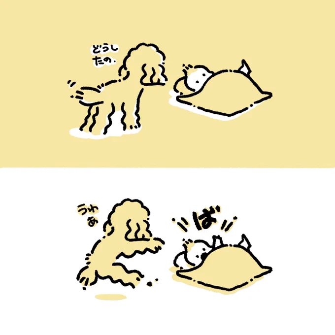 かわいいのよワンワン。 
