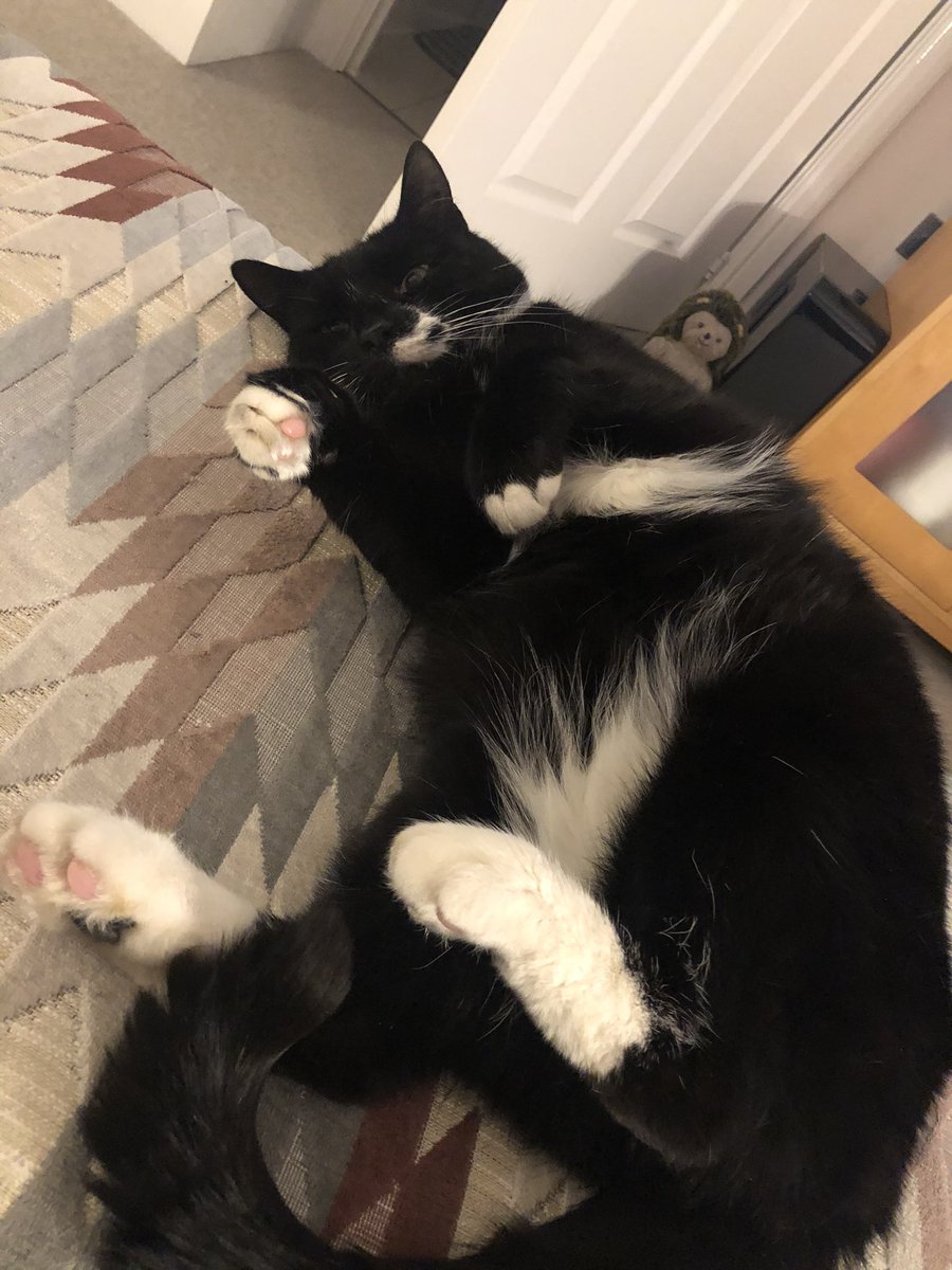 Reg Roo would love  #Picksaw for his mum 😊