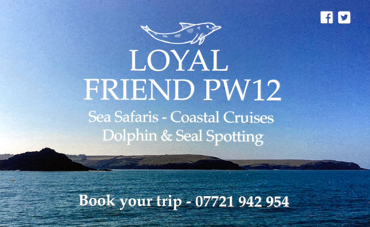 Loyal Friend PW 12 (@loyalfriendpw12) on Twitter photo <a href="/LoyalFriendPW12/">Loyal Friend PW 12</a>
π¦ π¬ π¦
#coastalcruises
#seals
#dolphins
#birds
#coast
#love
#Newquay
#Cornwall
π€© <a href="/LoyalFriendPW12/">Loyal Friend PW 12</a>
π¦ π¬ π¦
#coastalcruises
#seals
#dolphins
#birds
#coast
#love
#Newquay
#Cornwall
π€©