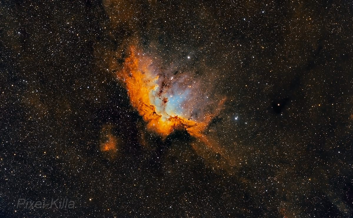 Wizard #Nebula in SHO