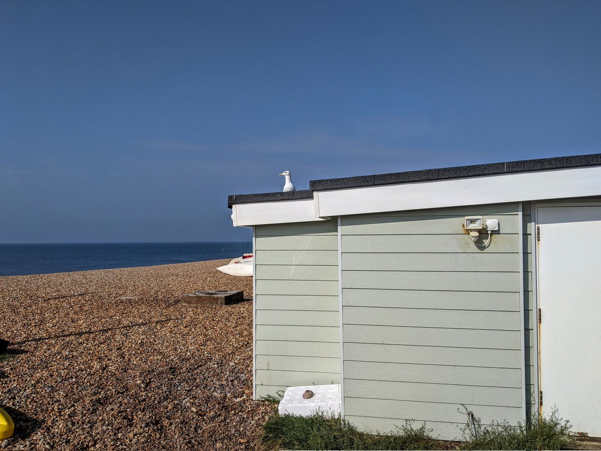 Abi Rose tweet media