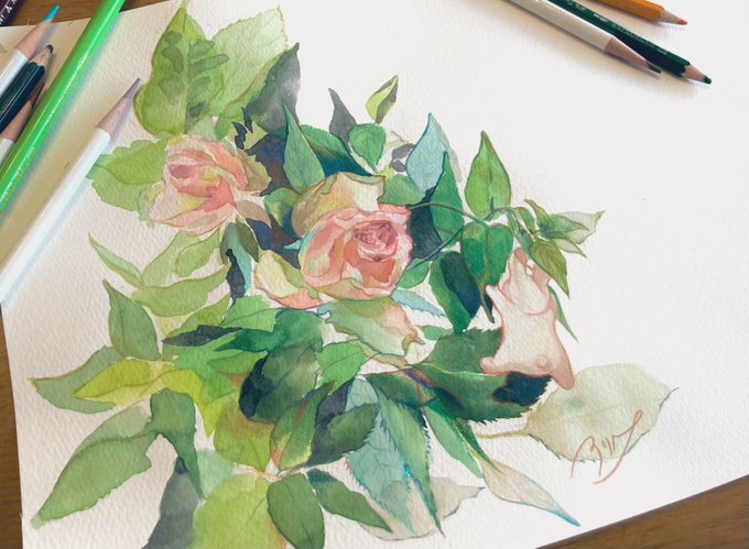 記念に素敵な薔薇を買いました、いつもありがとうございます✨

Thank you for over 10000 followers! 