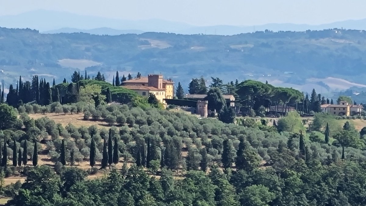 Angelo W. S. tweet media