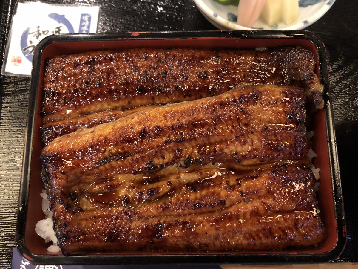 今日の鰻さん✨