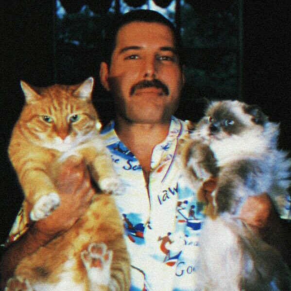 Happy birthday to freddie mercury <3 