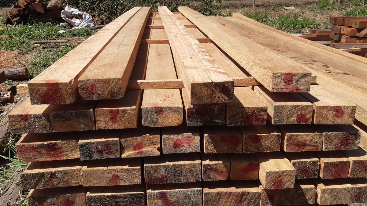 Aneityum island pine on display at NWA 2021, by Forestry Department. Unlocking a potential timber industry for Tafea in the new normal. #Aneityum #Timber #VanuatuForestry #Vanuatu_i_redi