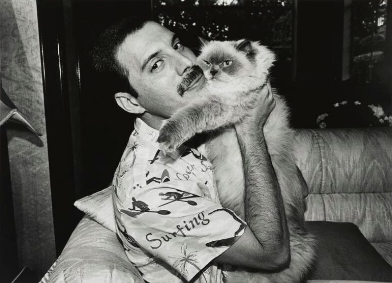 Happy Birthday to the legendary Freddie Mercury, who would have been 75 today. 
