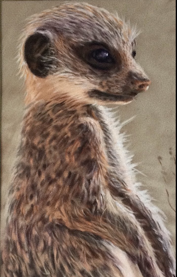seftonartists's tweet photo. Busy week this week getting ready for our opening @wayfarersarcade #southport on Friday, see poster for details.Looking forward to seeing the new @Bealessouthport and other great shops as well! Pop in and see us when you’re there👍 The Swan, Pelican Crossing &amp; Meerkat #seftonhour https://t.co/gEEk7ny0QB