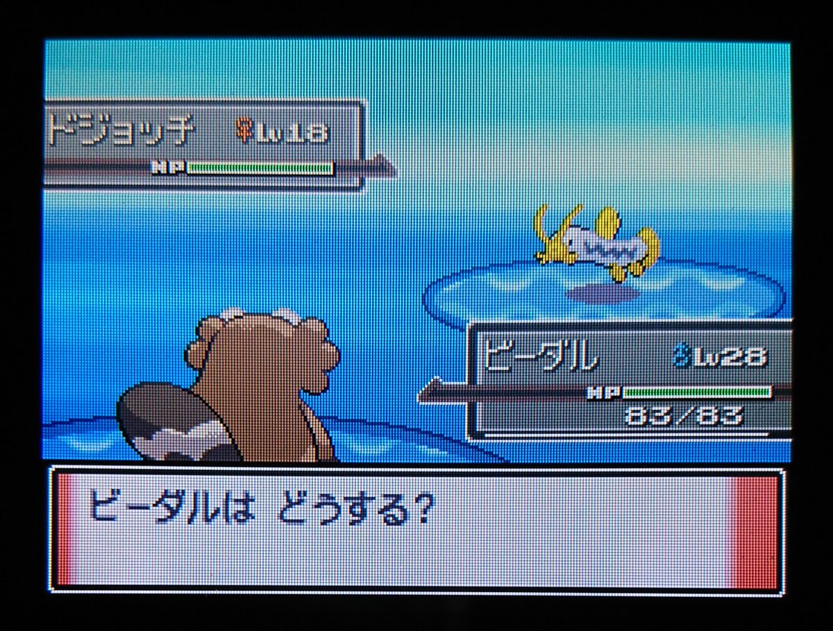 チロル 色追う者 Tirol Poke Twitter