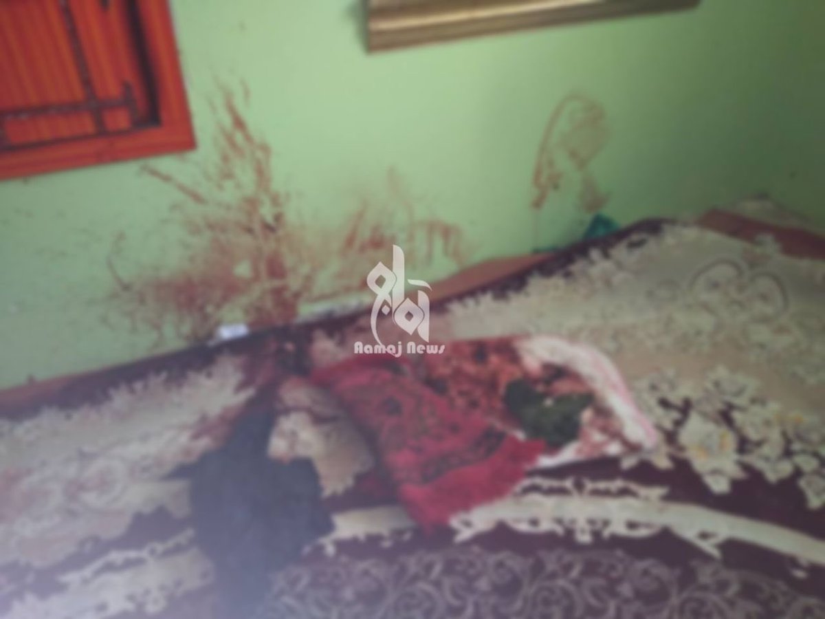 یک عضو پیشین پولیس زن در غور تیرباران و مغزش بیرون کشیده شد

منابع در ولایت غور به آماج‌نیوز تأیید می‌کنند که بانو نگار عضو پیشین پولیس زن در این ولایت شام روز گذشته در شهر فیروزکوه، مرکز این ولایت از سوی طالبان تیرباران شده است. اما طالبان تاکنون واکنشی نداشته اند.

#آماج_نیوز