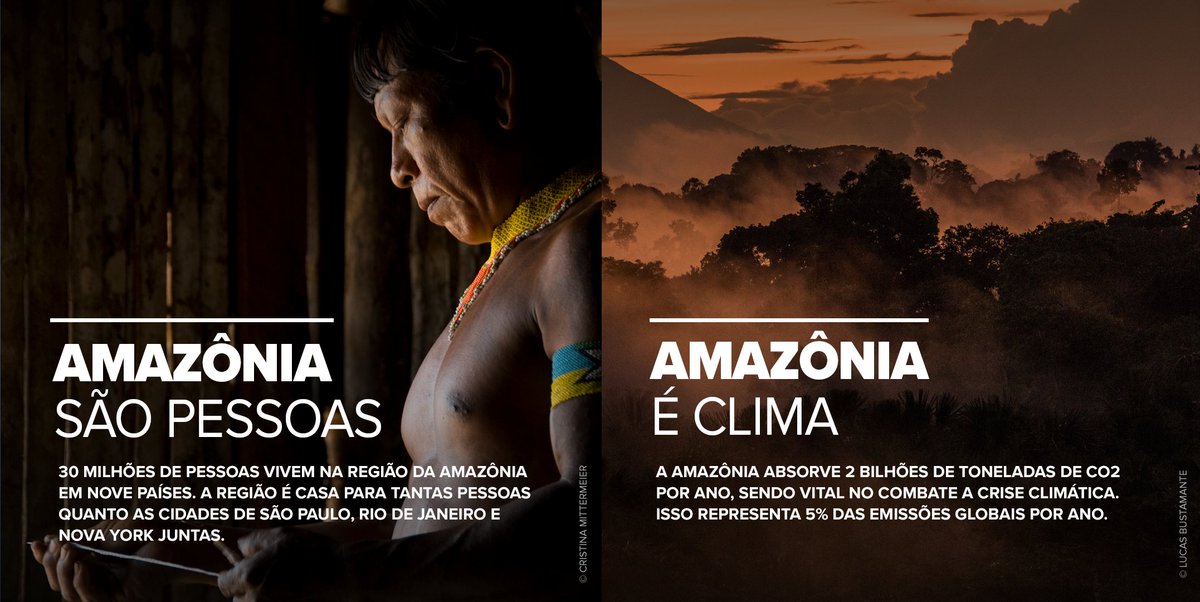 Hoje é o #DiadaAmazônia. A floresta que nos fornece água, que regula o clima, é rica em biodiversidade, fornece alimentos, gera renda e guarda ainda segredos que podem ser a chave para a cura de doenças que enfrentamos.
