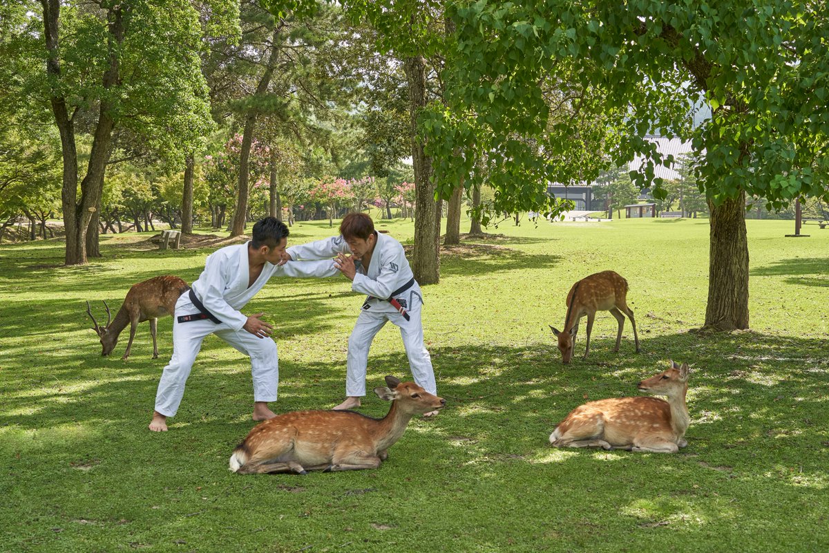 写真 奈良公園でブラジリアン柔術をする二人 が合成にしか見えないカオス 裸足なのは勇者過ぎる の理由も現地を知る人には納得 Togetter 写真 奈良公園でブラジリアン柔術をする二人 が合成にしか見えないカオス 裸足なのは勇者過ぎる の理由も現地を知る人には納得 Togetter
