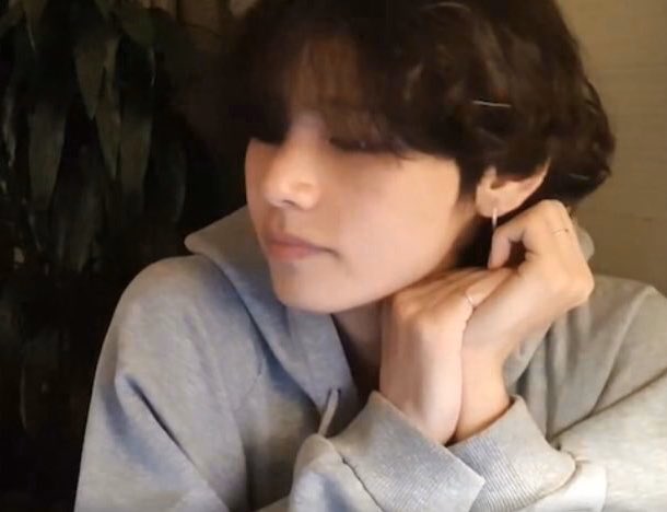 — 𝐕𝐚𝐧𝐭𝐞 𝐛𝐞𝐚𝐫 𐤀 tweet media