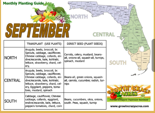 TheOOCG's tweet image. Now is the time to jump right In and plant those seeds while available raised beds are available at the OOCG. All beds  are connected to a drip irrigation system.
#oocg.org
#memberships 
#friends 
#exercise 
#gratification
#learn 
#plantidentification 
# seeds