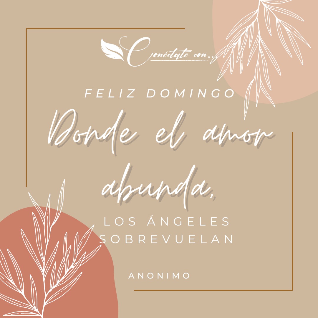 conectate_con's tweet image. Feliz #Domingo

Recuerda que 👉🏻 &quot;Donde el #amor abunda, los Ángeles sobrevuelan&quot;💖😇

---
#conectate_con #angeles #tarot #oraculos #arcangeles #motivacional #reiki #YoSoy #hooponoponoo #namaste #leydeatraccion #mensajepositivo #mensajedelosangeles #crecimientopersonal #FelizDia