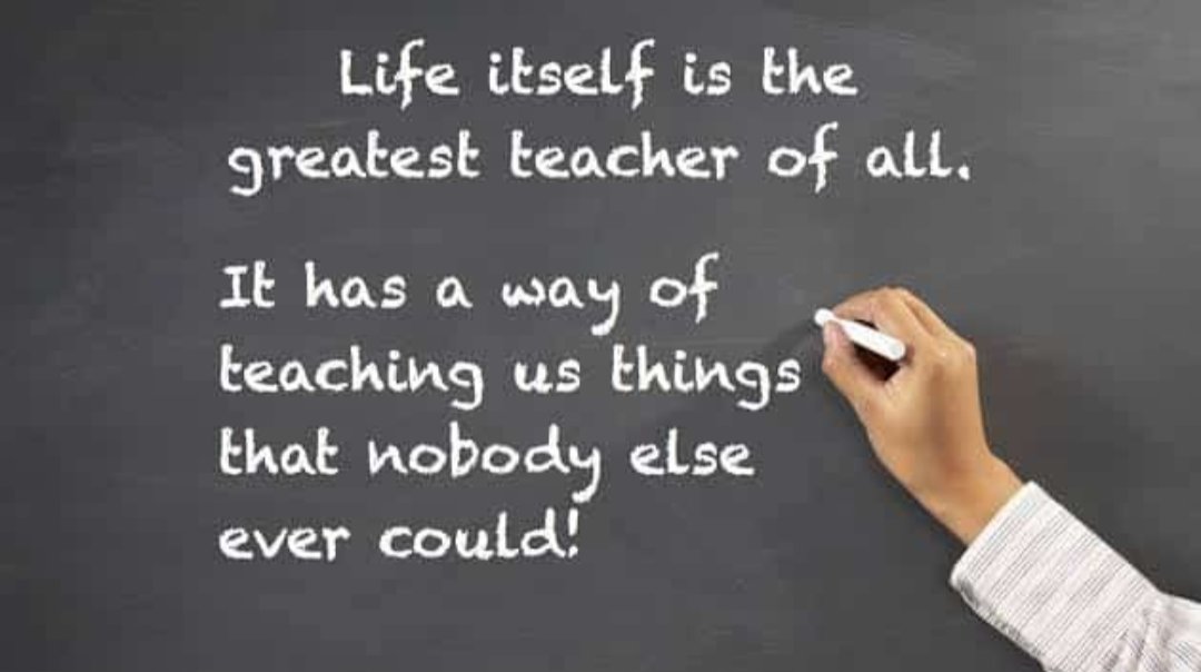 Life is the best teacher