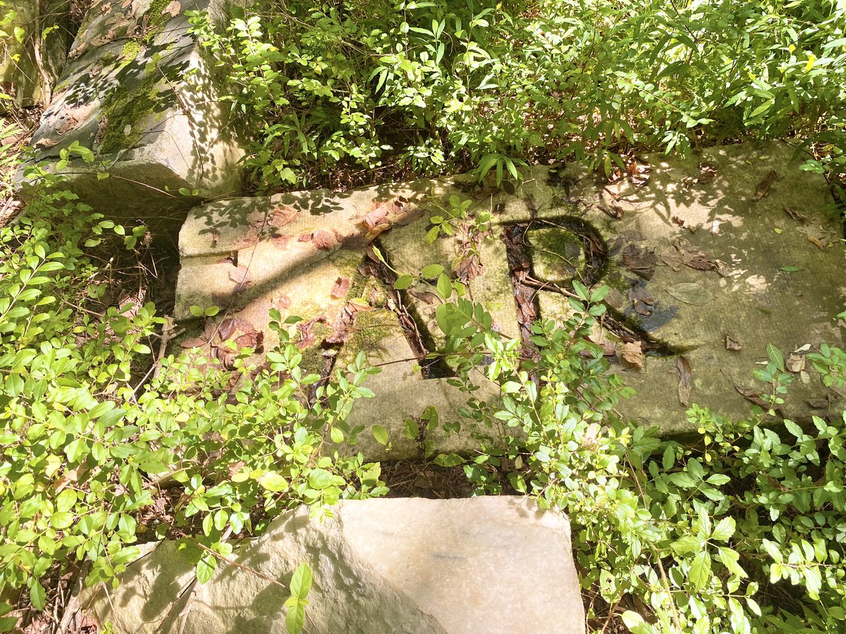 The remains of Atlanta’s downtown Carnegie library are scattered throughout the Prison Farm. There’s such a poignant beauty & history to this place that cries out to be saved @PreserveAtl @ArchiveAtlanta @ryangravel @KKessler07