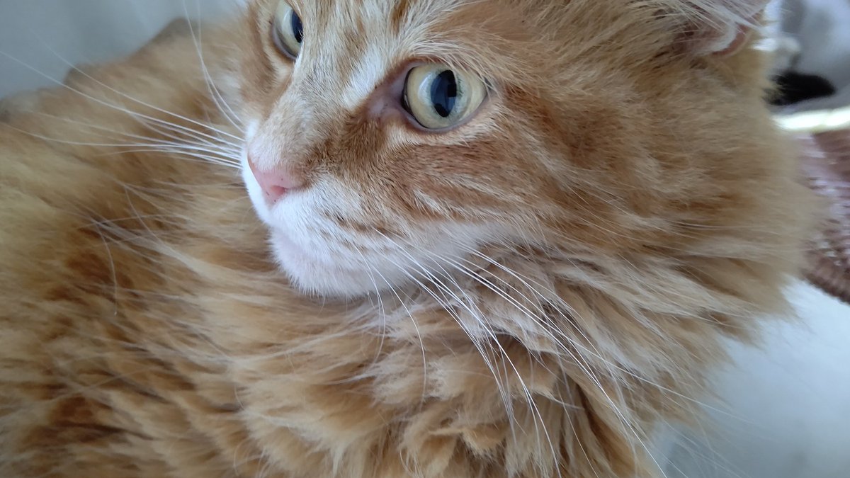 @Kagasama_mfmf 
ワンワン 