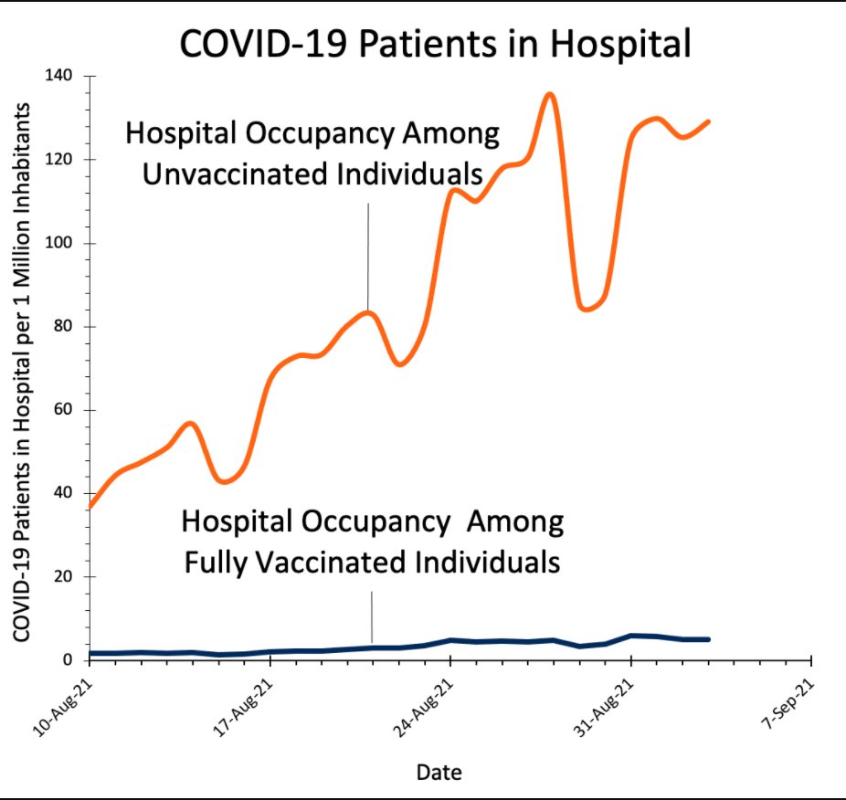 Isaac Bogoch tweet media