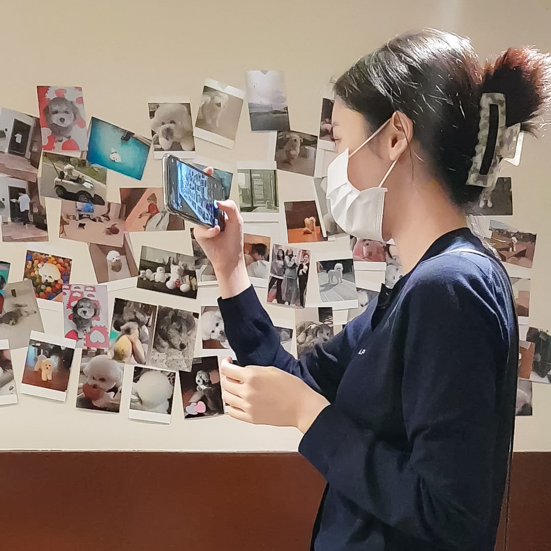 🐾 전시 물품들은 현재 모두 철거된 상태며, 오전2시까지 테이크 아웃으로 특전을 받아가실 수 있습니다! 

- 이틀 동안 방문해주셔서 감사합니다:) 먼지앙꼬 소원신비랑 오래오래 행복하기🥰