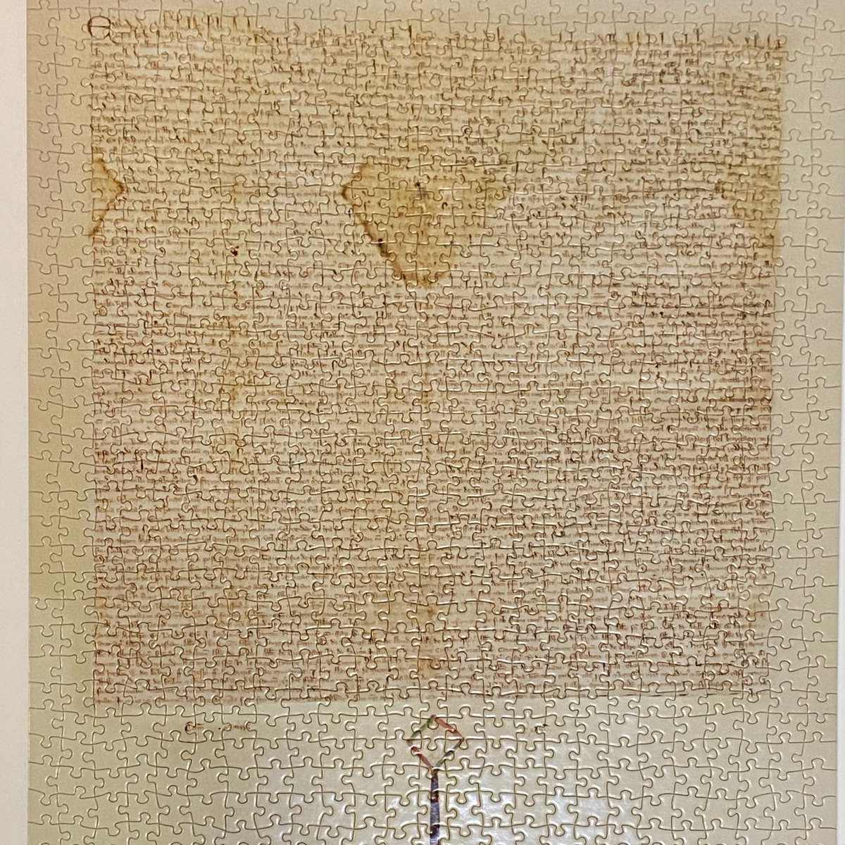 Patrick McGivern tweet media