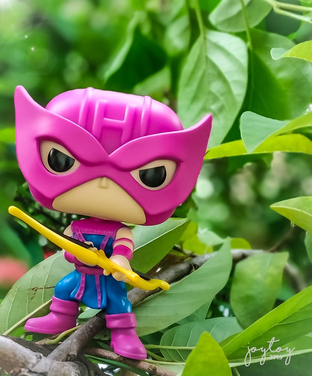 baquir_joy's tweet image. #FunkoPop #FunKon2021 #FunkoPops #funkoshopee #Avengers #avengershawkeye