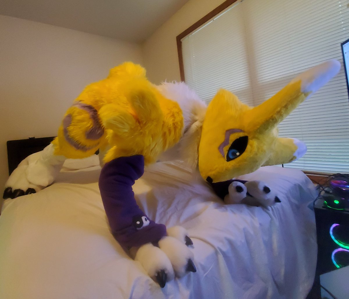 Veil, the Renamon tweet media