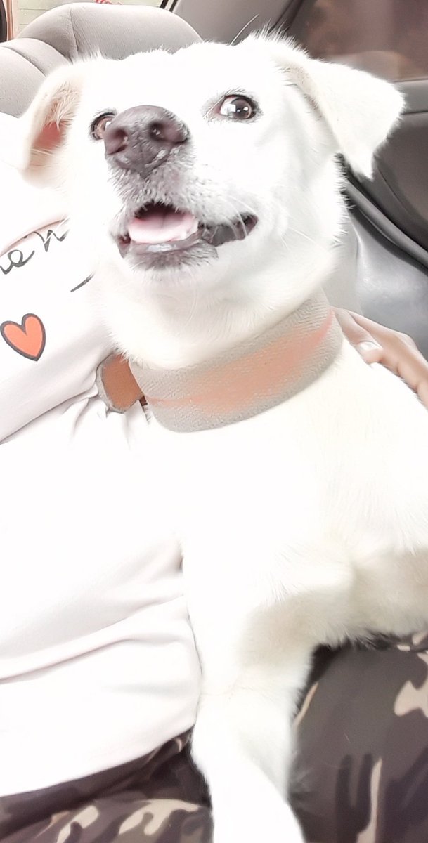 CChinatambi's tweet photo. Love#♡hugs https://t.co/F9wx9FjoFs