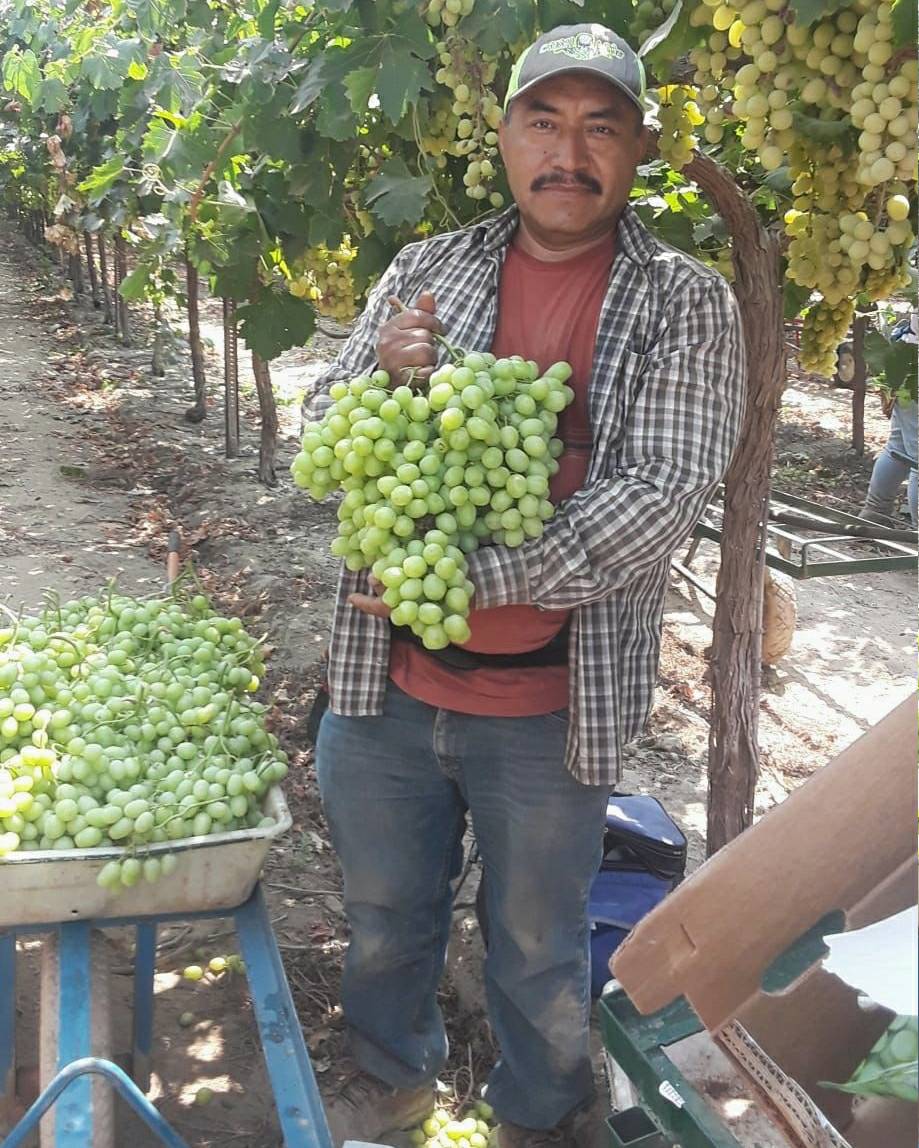 United Farm Workers tweet media