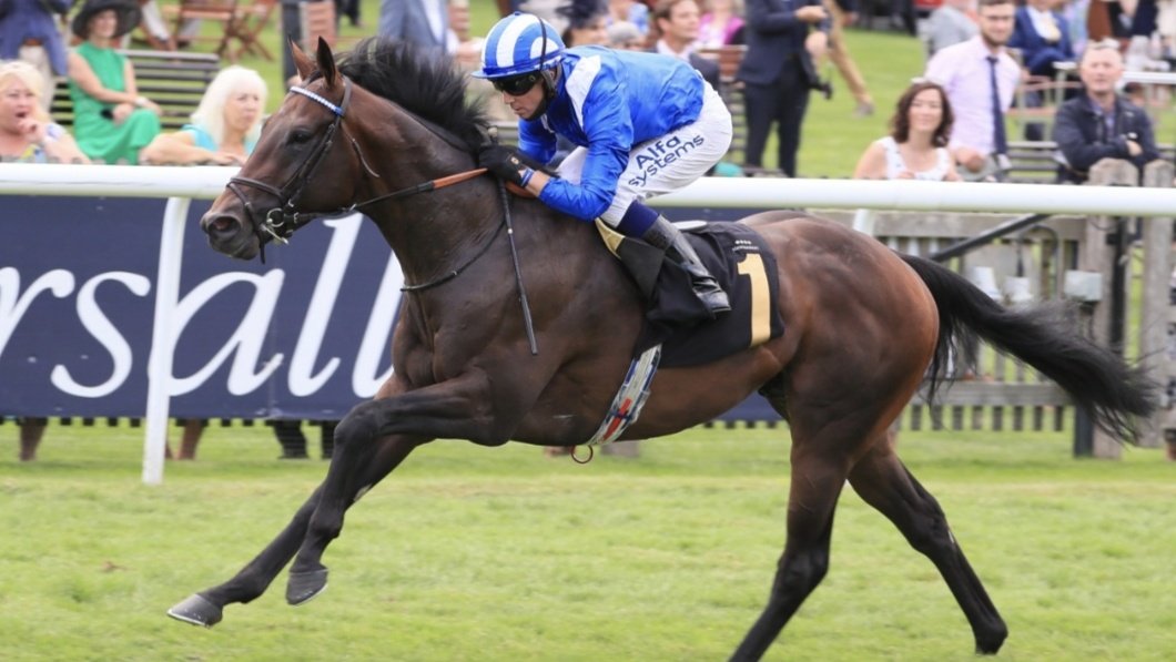 Qipco champion stakes betting lines Qipco champion stakes betting lines fixed odds betting terminals bangor