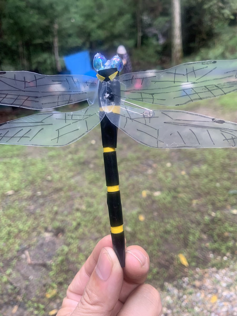 Hiropon いじってる改 A Twitter 今日の昼間なんだけど 自作のオニヤンマ君を作った人が 黄色と黒の模様で虫が判断するって いってたからアブにオニヤンマ君を持っていったら確かに羽根じゃ無くて胴体に反応してる感じでした