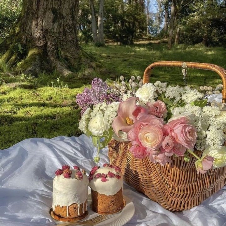 magnificent picnics 🧺🌷🌿