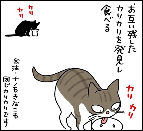 自分のゴハンは残す猫たちの謎行動とは……? "隣の芝生は青い"を実践する漫画に「あるある」の声 https://t.co/BCdb2FY65r @itm_nlabより 