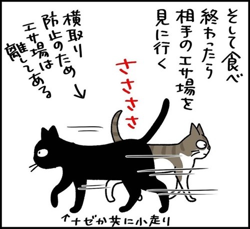 自分のゴハンは残す猫たちの謎行動とは……? "隣の芝生は青い"を実践する漫画に「あるある」の声 https://t.co/BCdb2FY65r @itm_nlabより 