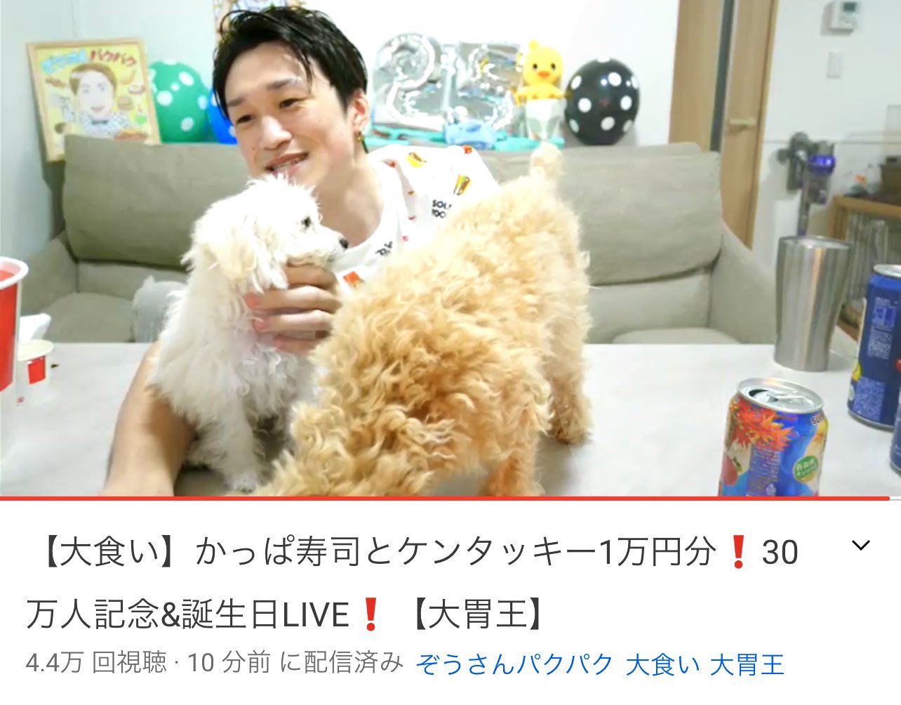 ぞうさんパクパク𓃰 大食いyoutubelive ほんとにたくさんのコメント スパチャ おめでとう をありがとうございました これからゆっくりとアーカイブコメント見させていただきます いま角煮とお餅は仲良くオモチャの取り合いし ぞうさんパクパク𓃰 大食いyoutubelive ほんとにたくさんのコメント スパチャ おめでとう をありがとうございました これからゆっくりとアーカイブコメント見させていただきます いま角煮とお餅は仲良くオモチャの取り合いし
