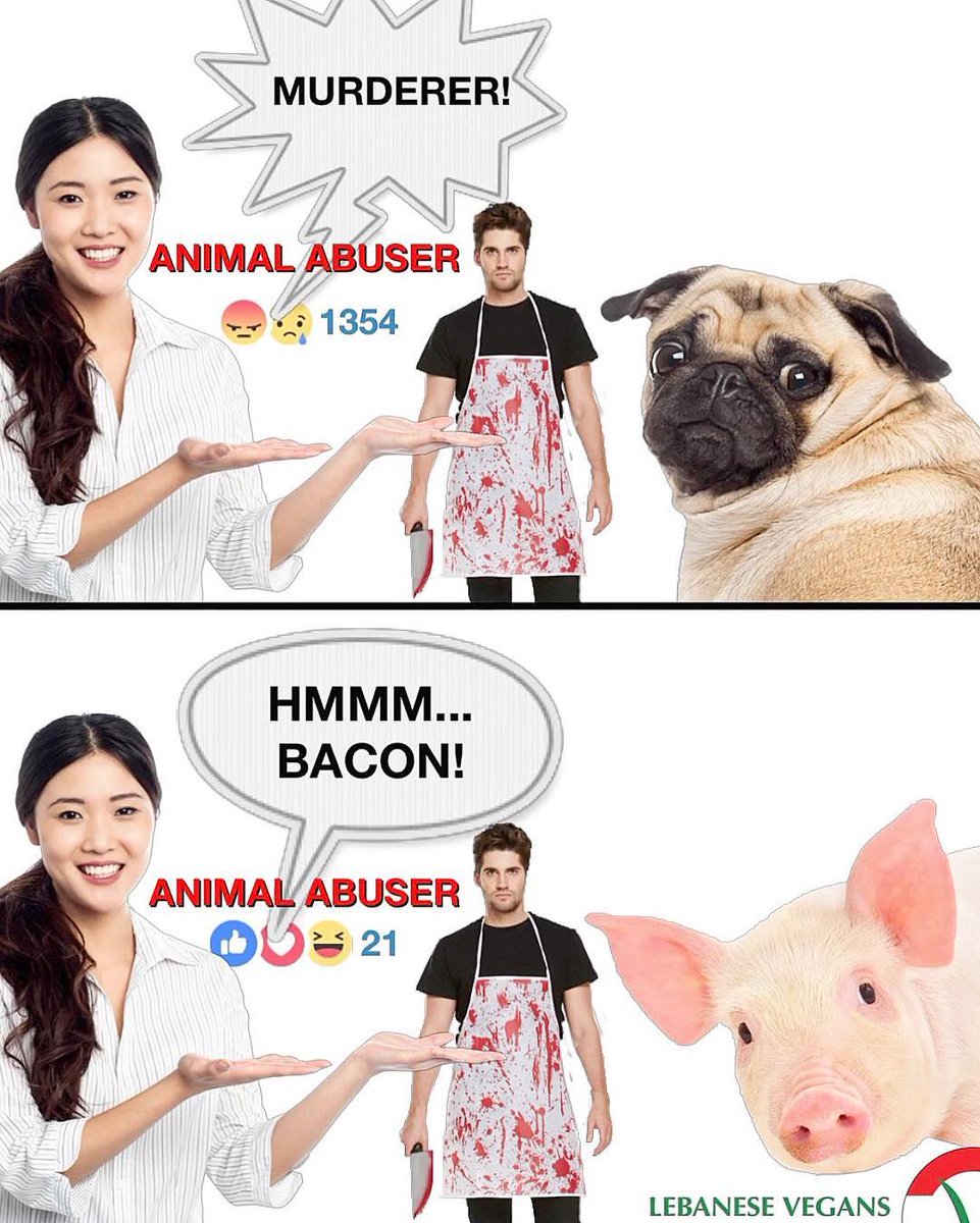 VeganAsshole's tweet photo. Imagine being a carnist and thinking killing for pleasure is cool...

#vegan #govegan #animals #dogsoftwitter #meat #CatsOfTwitter #bacon #bigchungus #maconha #doggos #CuteAnimals #food maconha https://t.co/l4s0RojAYr