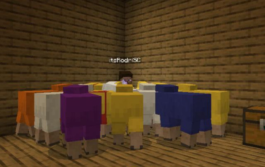 RodriCh01's tweet image. a