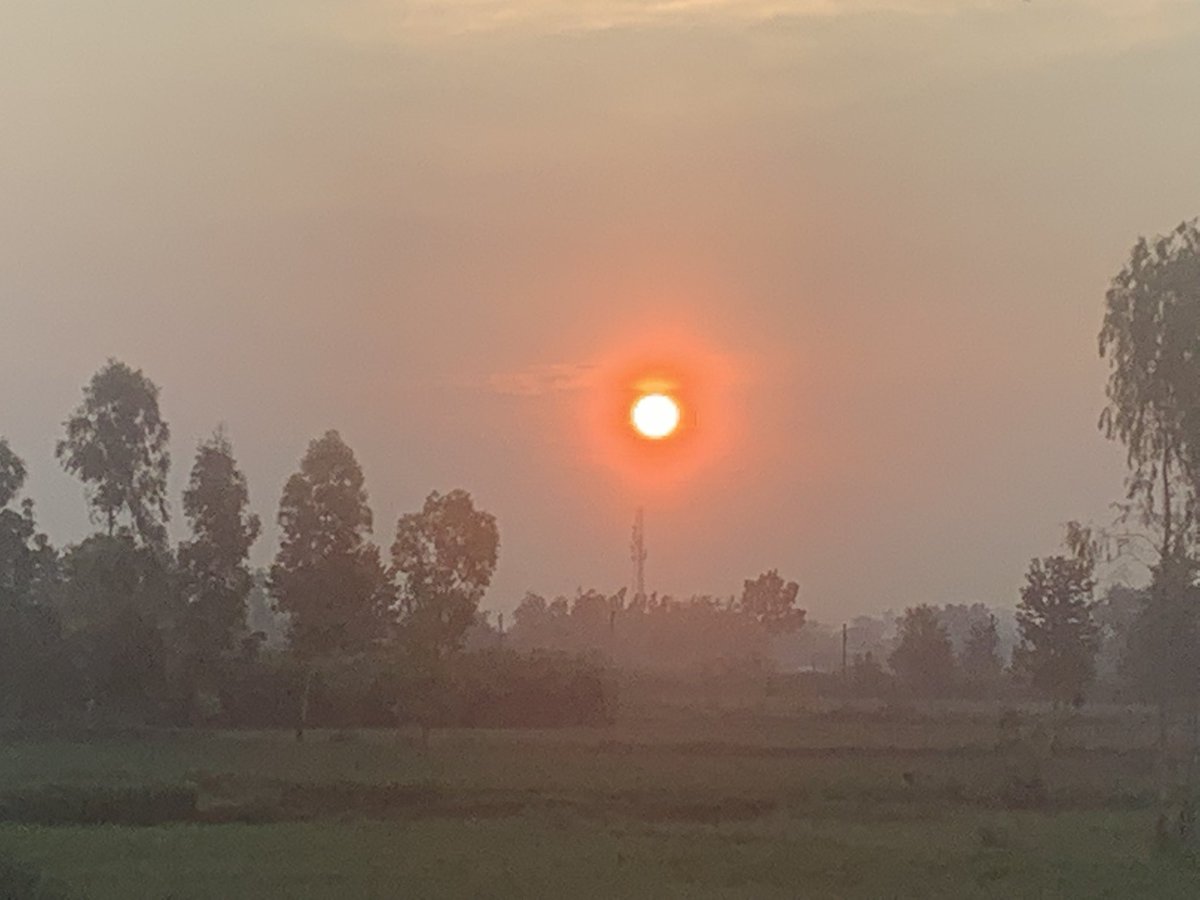 rksingh97263's tweet image. Look deeply to try to overcome the gap between your concept of reality and reality itself. Meditation helps us remove our concepts.