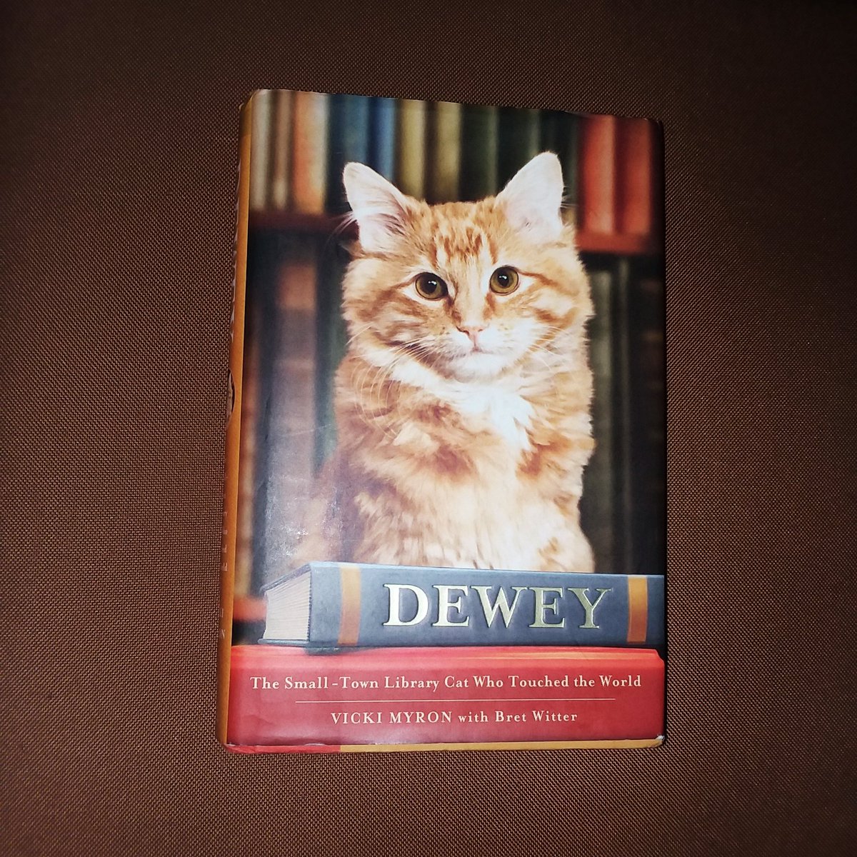 WickWrites's tweet photo. Do you know the #truestory of Dewey? As a kitten, he was left in the book drop of the Spencer Public Library (Iowa). Saved by the librarian, he then lived 19 years as a #librarycat!📚 Named for the #DeweyDecimalClassification, this is his sweet story.🐱
From @GrandCentralPub https://t.co/JAYNKcFSnB