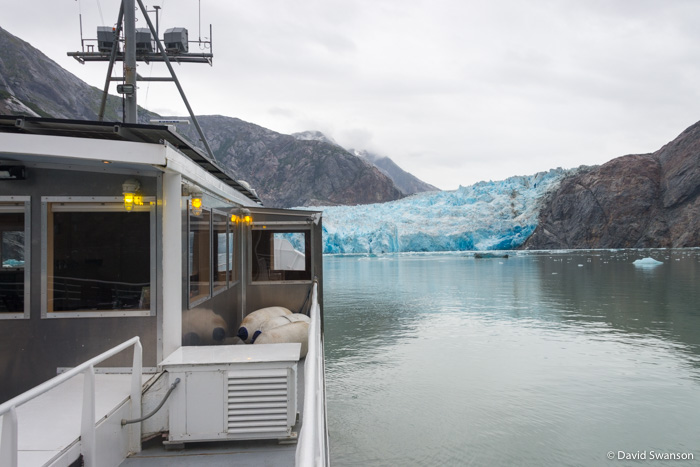 DavidHSwanson's tweet photo. I'm aboard Kruzof Explorer and ready for an encounter with South Sawyer Glacier! #TracyArm https://t.co/we9ny3p6Gc
