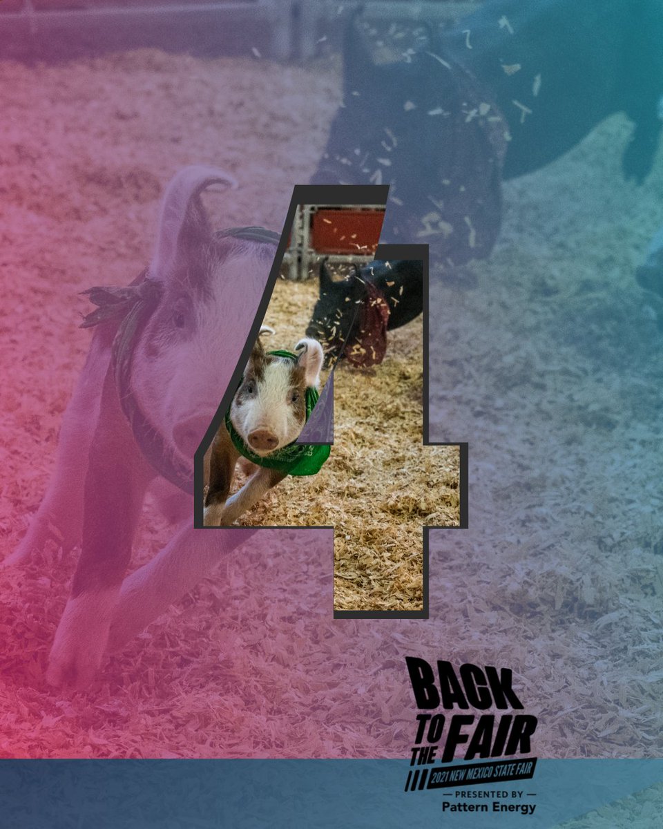 NMStateFair's tweet photo. Only 4 more days until we are #BackToTheFair! Here are 4 rodeo events you won't want to miss.
1️⃣ Bareback riding
2️⃣ Barrel racing
3️⃣ Mutton Bustin'
4️⃣ Steer Wrestling https://t.co/fPlxYP3UYR