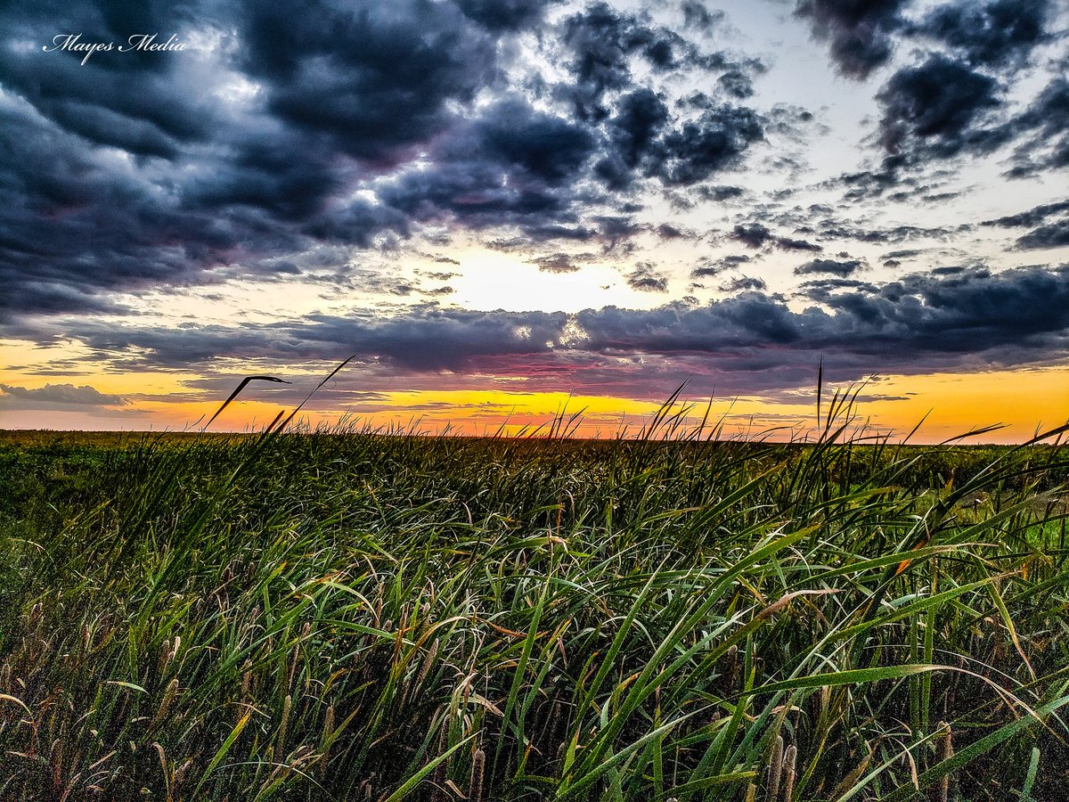 I'm just trying to make it through this life, one sunset at a time.