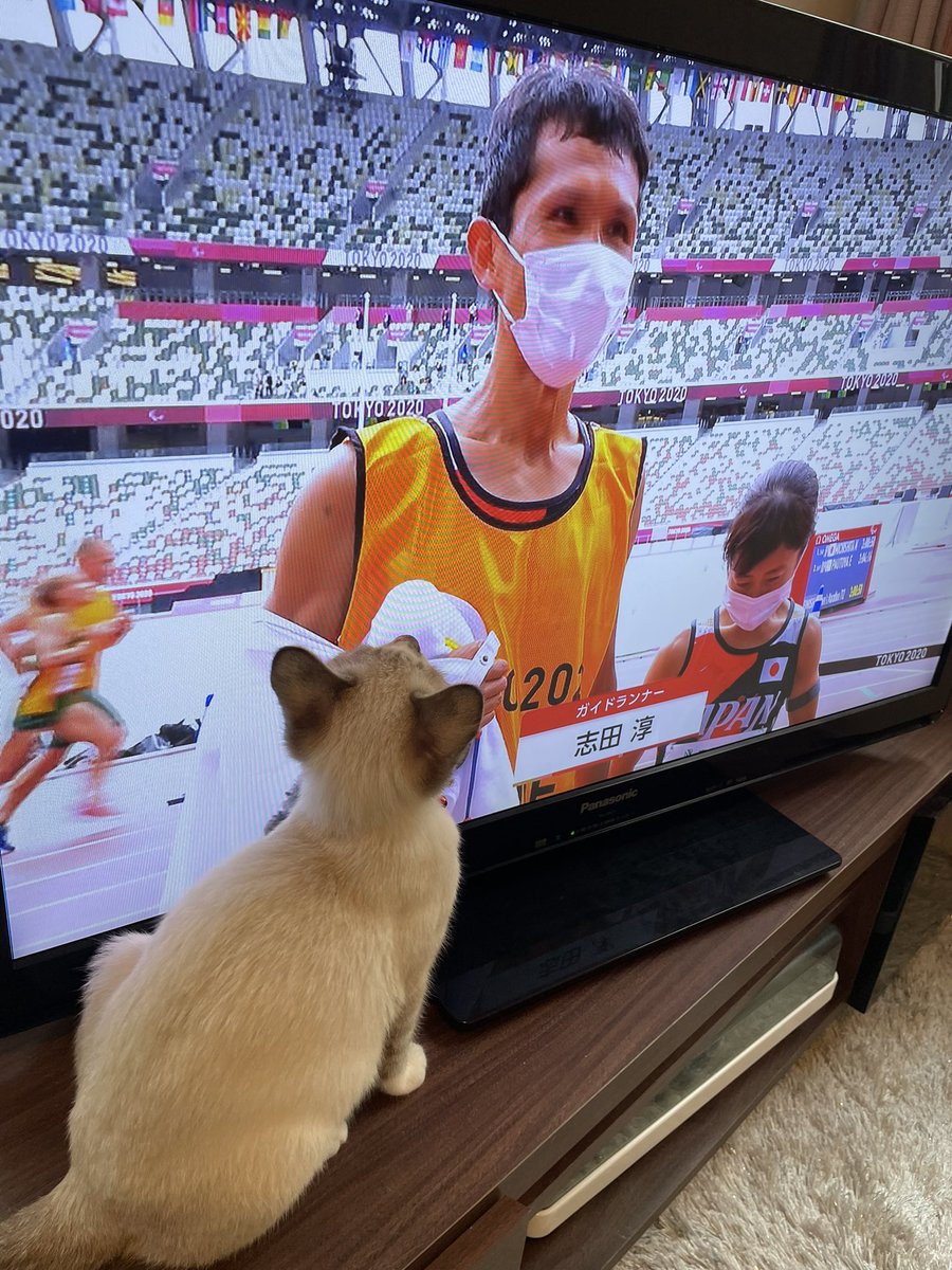 #パラリンピック #マラソンの新着情報 秒速Twitter(ツイッター)