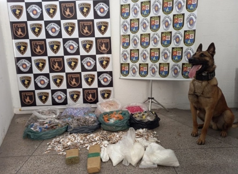 SegurancaSP's tweet image. 🚨 Policiais do 5º Baep, com apoio do canil, apreenderam cerca de 24,6 mil porções de drogas durante operação deflagrada em Carapicuíba.

Dois homens foram presos em flagrante tentando dispensar sacolas onde estavam armazenados os entorpecentes.

#SegurançaSP